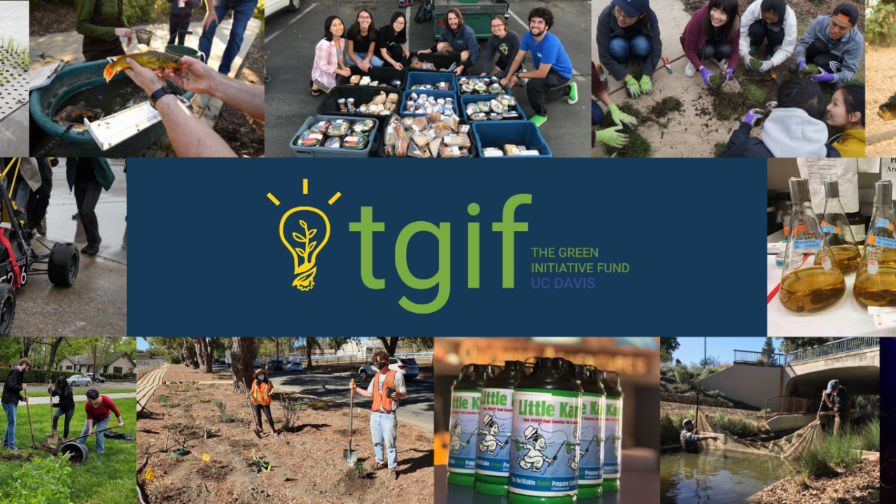 Collage of photos showing different TGIF-funded projects