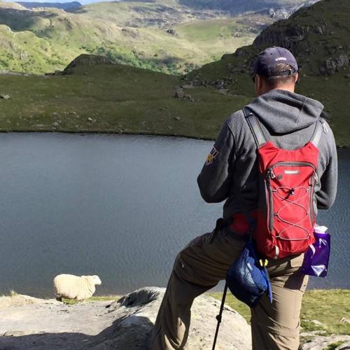 Eric O'Brien with his back turned to the camera. He is wearing a backpack and looking out onto a lake surrounded by hills from a the top of a high vantage point. A sheep is standing several feet in front of him.