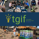 Collage of photos showing different TGIF-funded projects