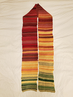 Scarf representing the daily temperatures of Davis in 2008