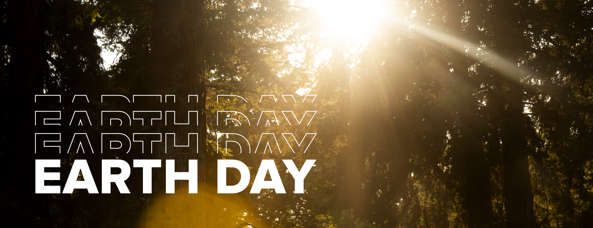 Photo of the sun shining through trees with text that reads "Earth Day"